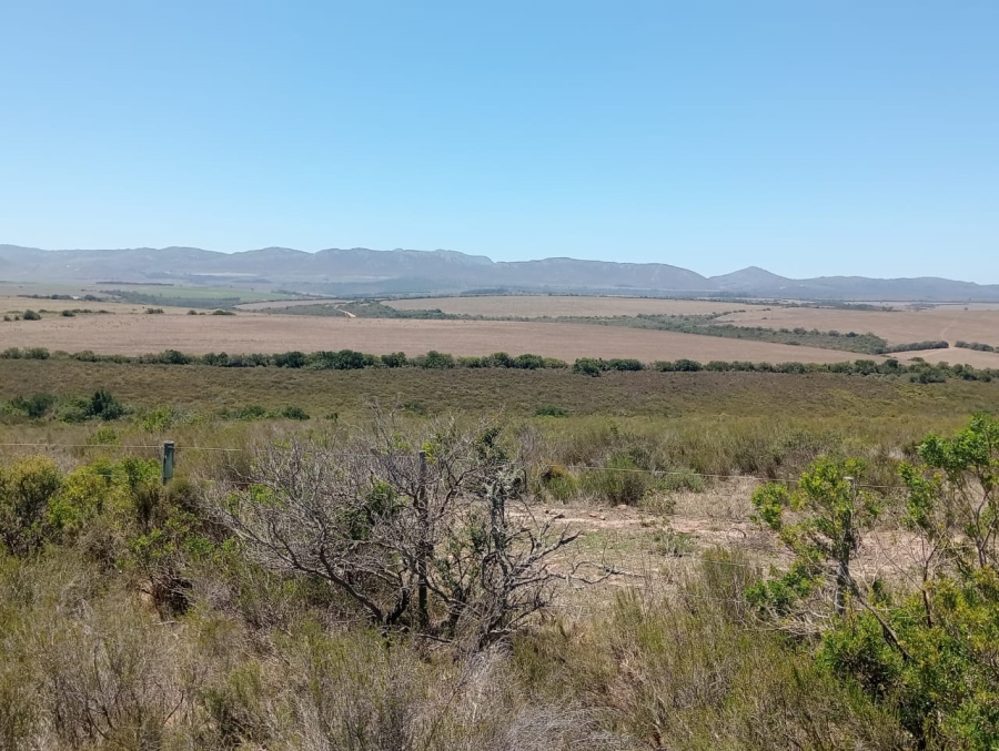 Commercial Property for Sale in Humansdorp Rural Eastern Cape